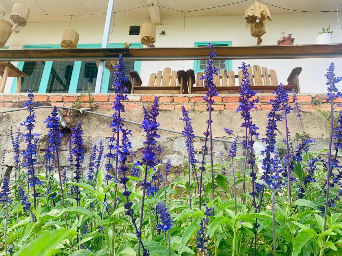 Thang Nam Ruc Ro - Dalat Homestay Da Lat Exterior photo