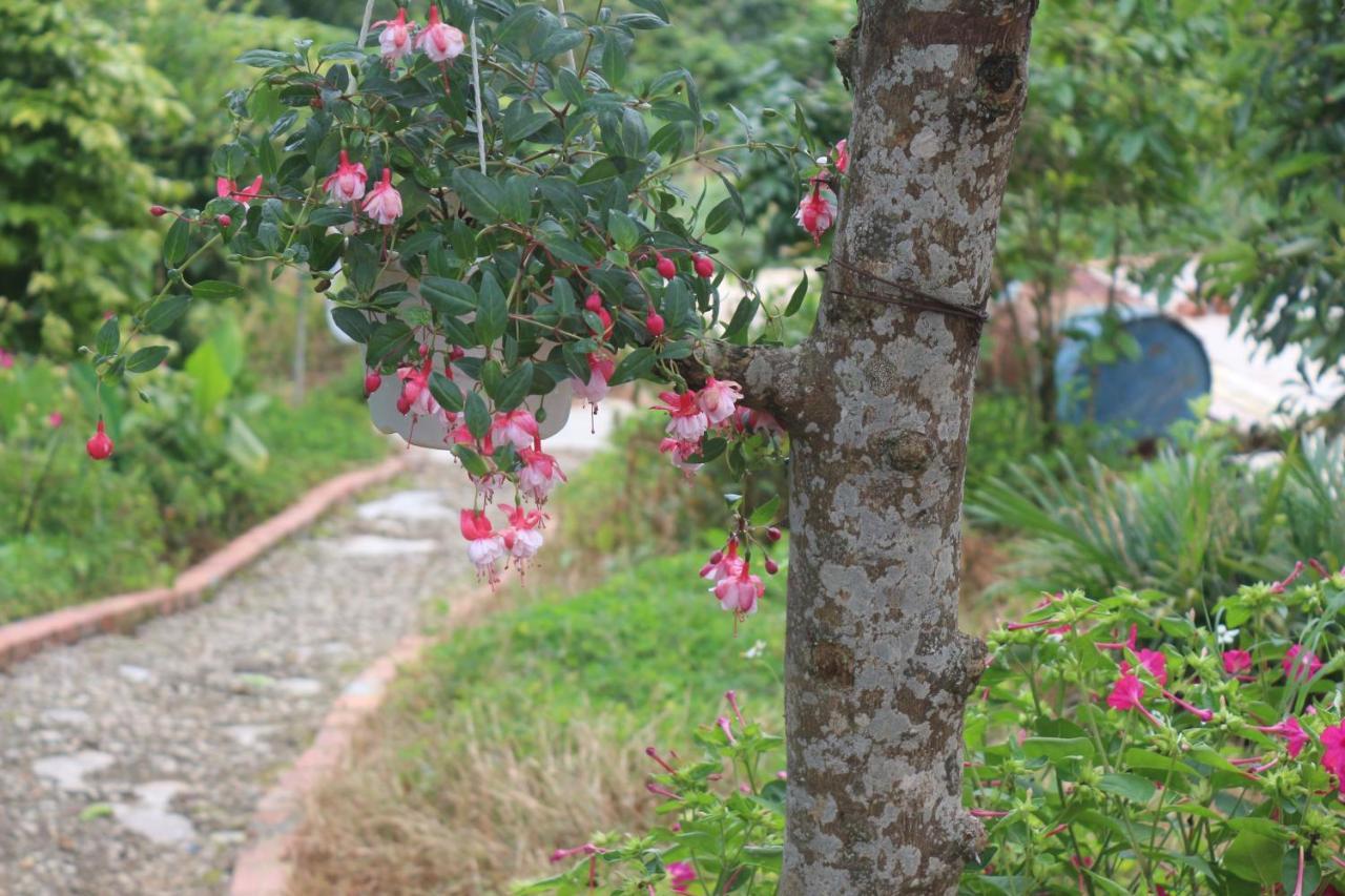 Thang Nam Ruc Ro - Dalat Homestay Da Lat Exterior photo