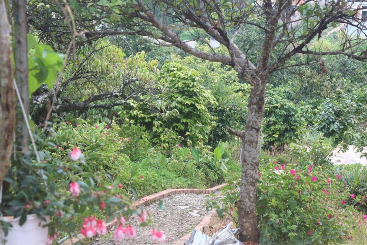 Thang Nam Ruc Ro - Dalat Homestay Da Lat Exterior photo